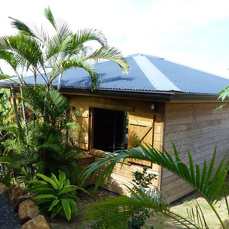 Iguana Ecolodge Saint-Francois  Room photo