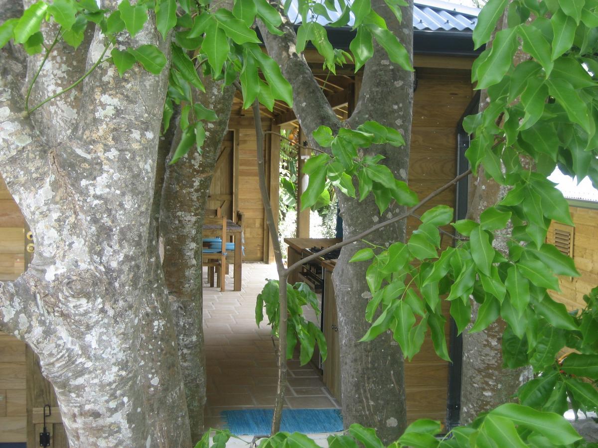 Iguana Ecolodge Saint-Francois  Exterior photo